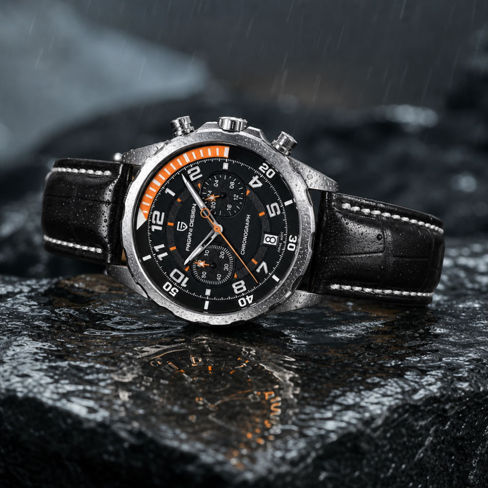 Мужские часы PAGANI DESIGN Cla – обзор и цена Anti-Magnetic Watch